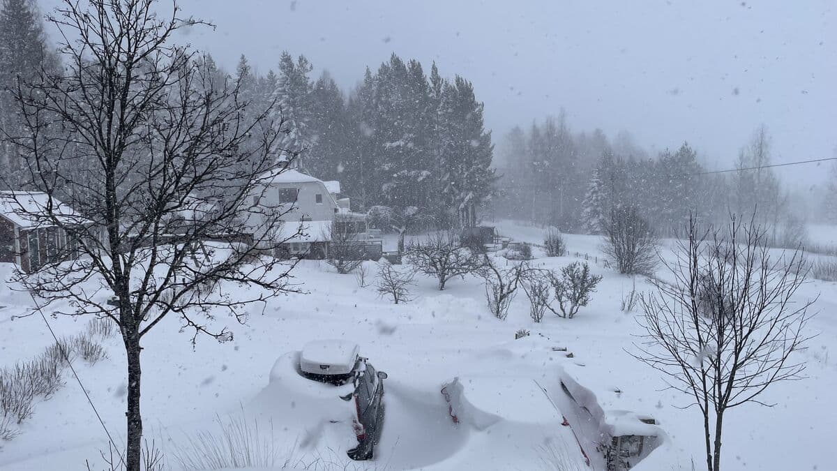 Without power for seven days - most of it has gone to hell