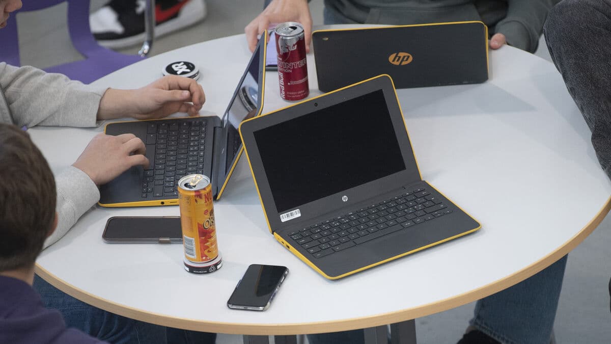 IT training courses are being scrapped, making it harder to get a job