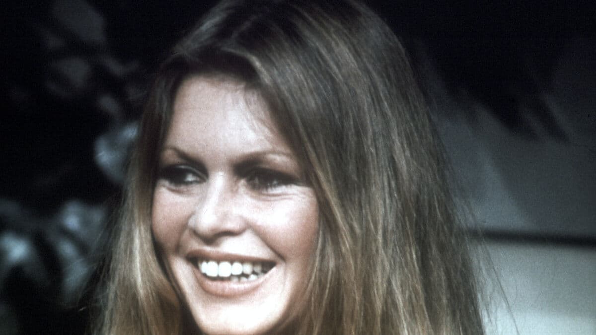 Brigitte Bardot is a bigger icon than an actor