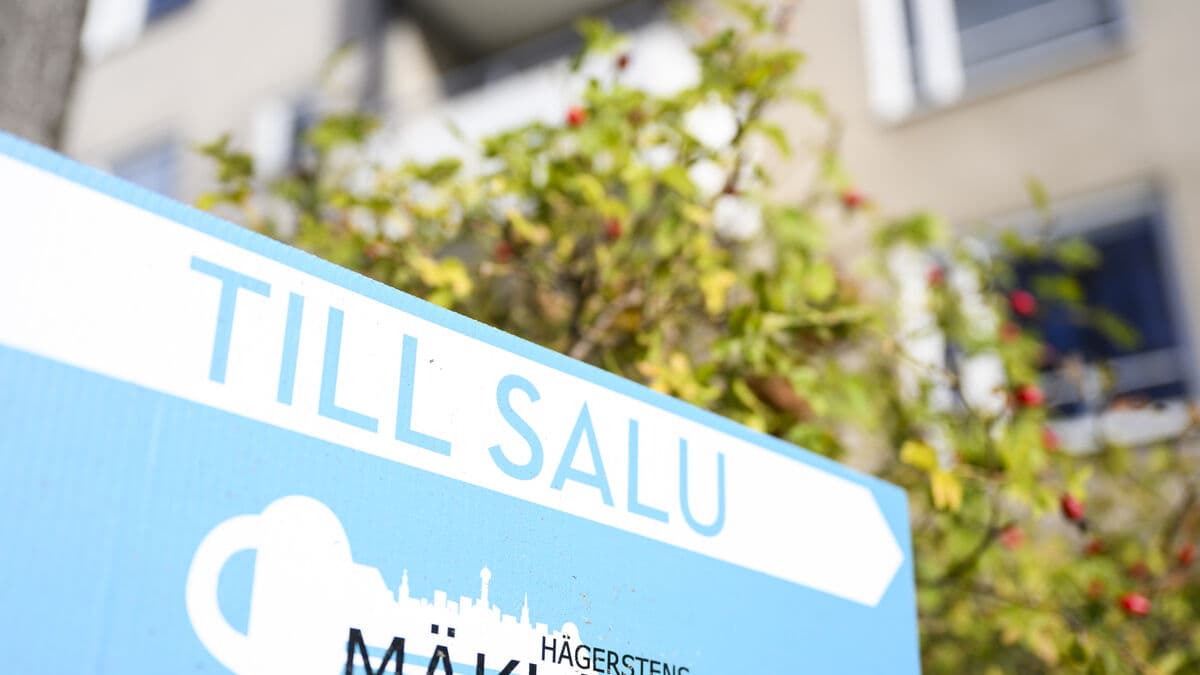 Spring mood in the housing market - clear price increase