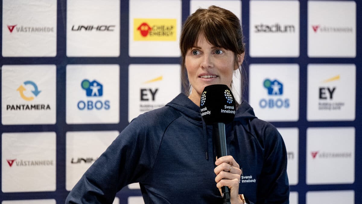 Seven World Cup debutants in Sweden's squad