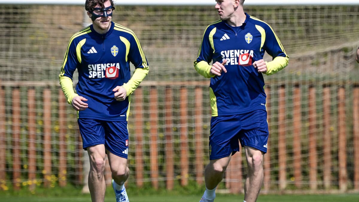 Allsvenskan profiles convinced Sweden will reach the World Cup