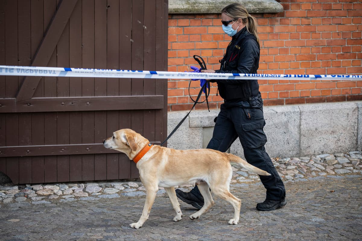 Suspected Attempted Murder Investigated at Ystad High School