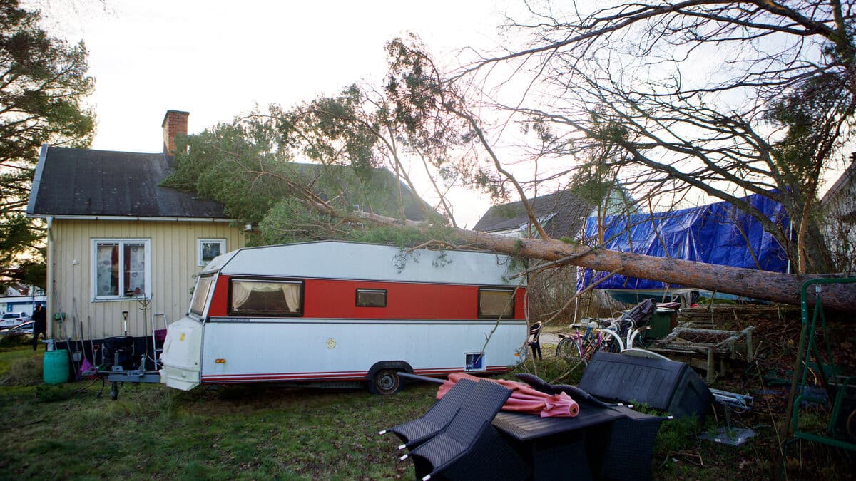 What is not covered by insurance after the storm