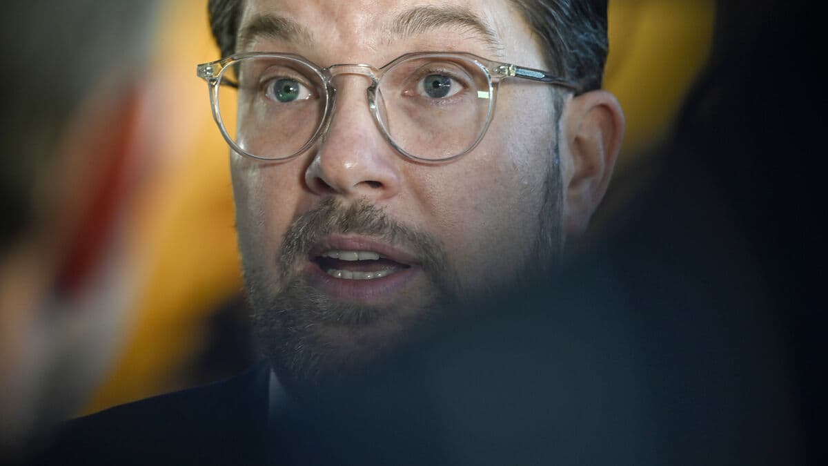Åkesson Calls for Tomasson's Resignation After World Cup Qualifying Losses