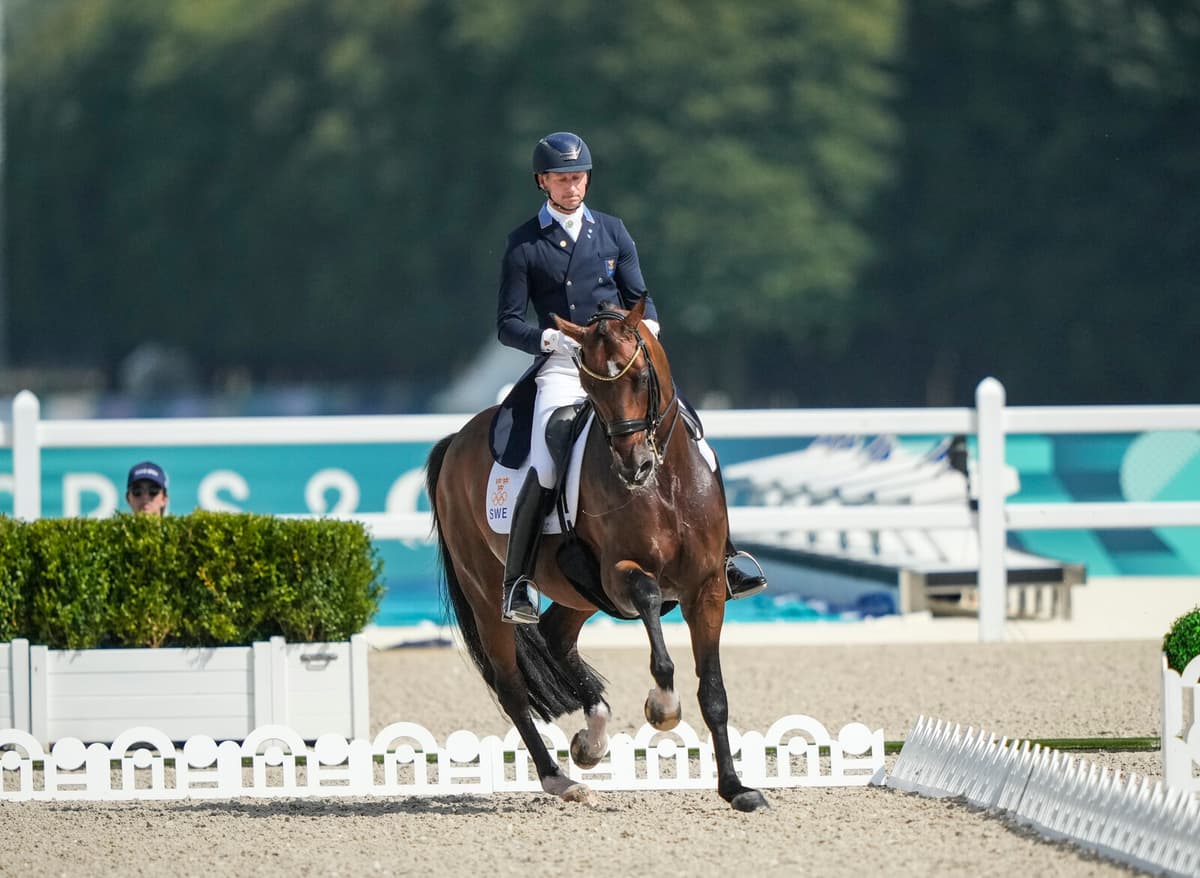 Sweden Finishes Sixth in European Dressage Championship as Kittel Struggles