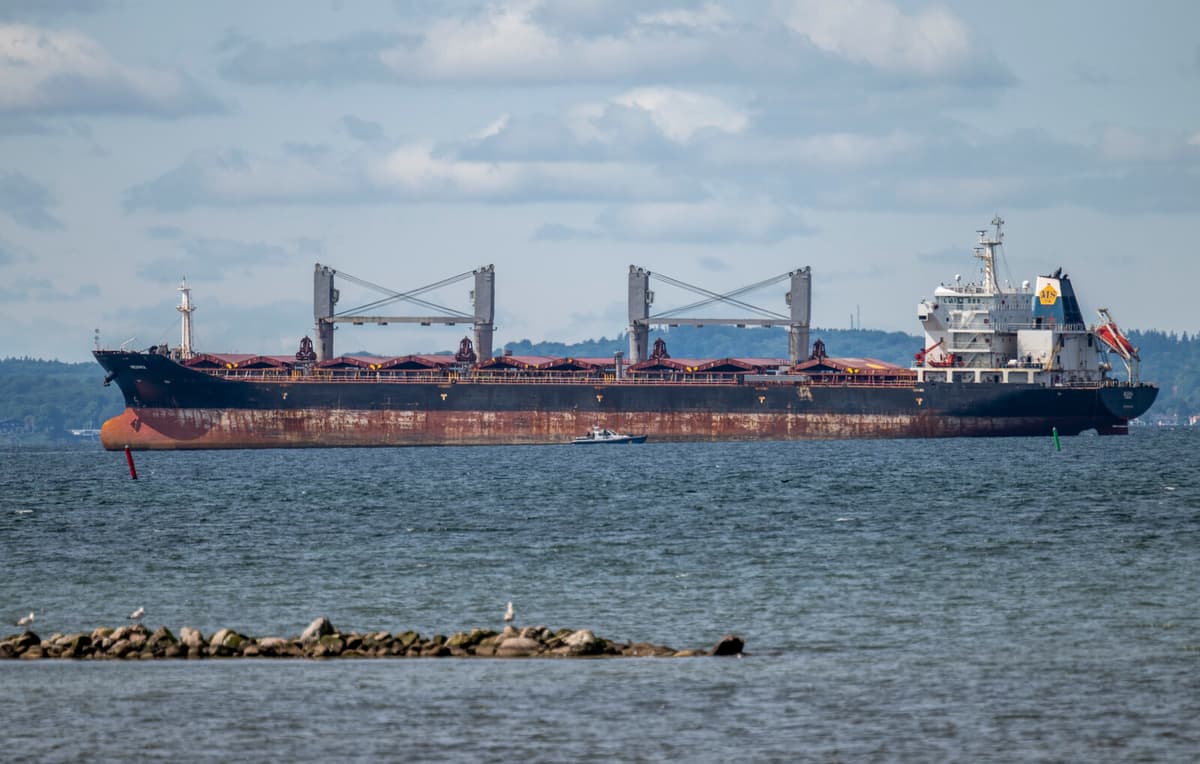 No Leaks Detected on Grounded Cargo Ship Meshka