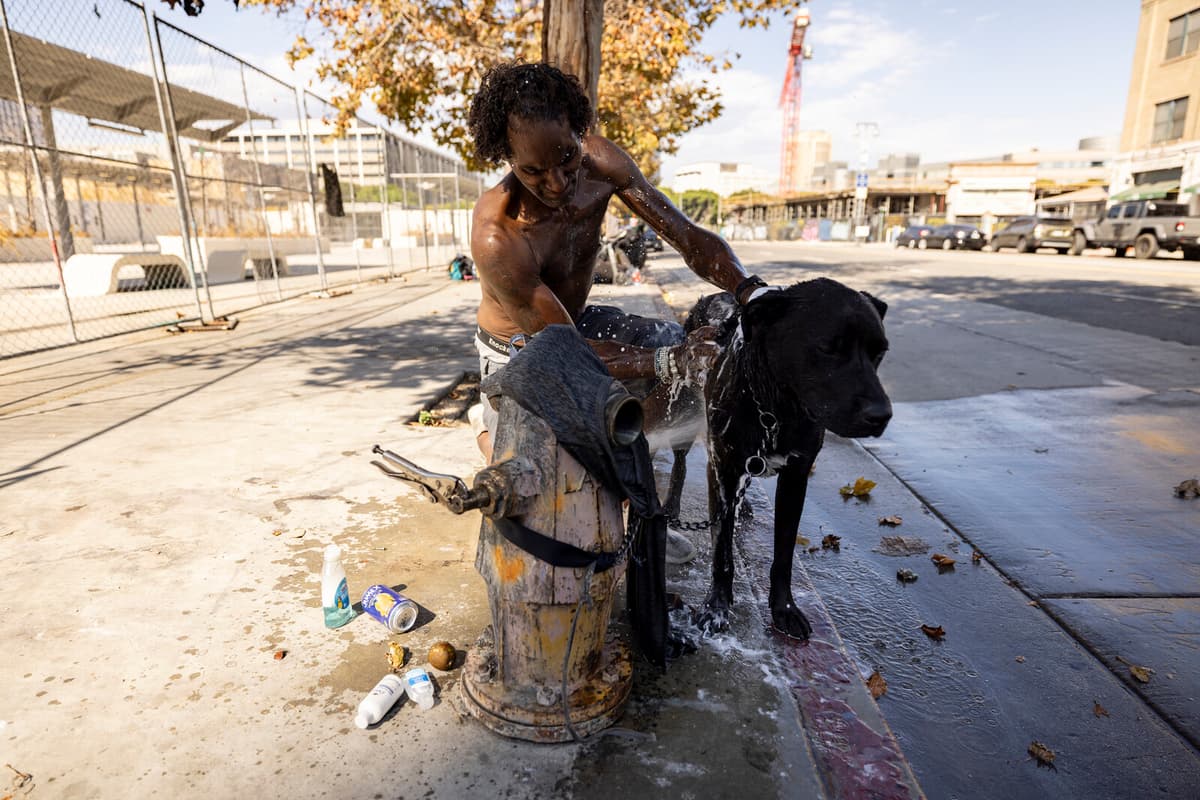 Study Links Major Companies to Increased Heatwave Frequency