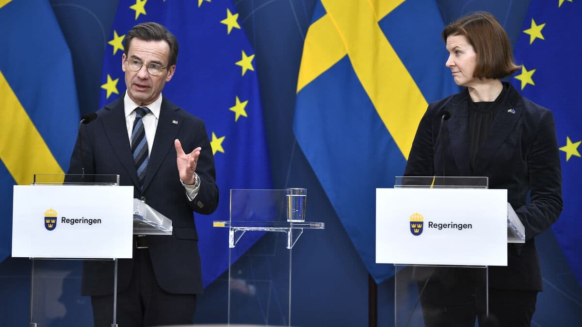 Psychiatry should stop more dangerous people from harming others