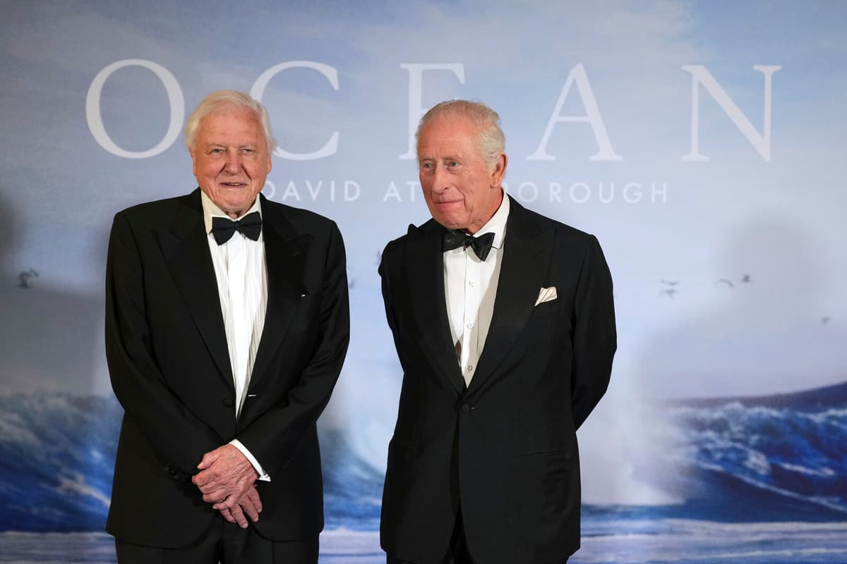 David Attenborough, 99, Shares Crucial Message in New Film "Ocean"