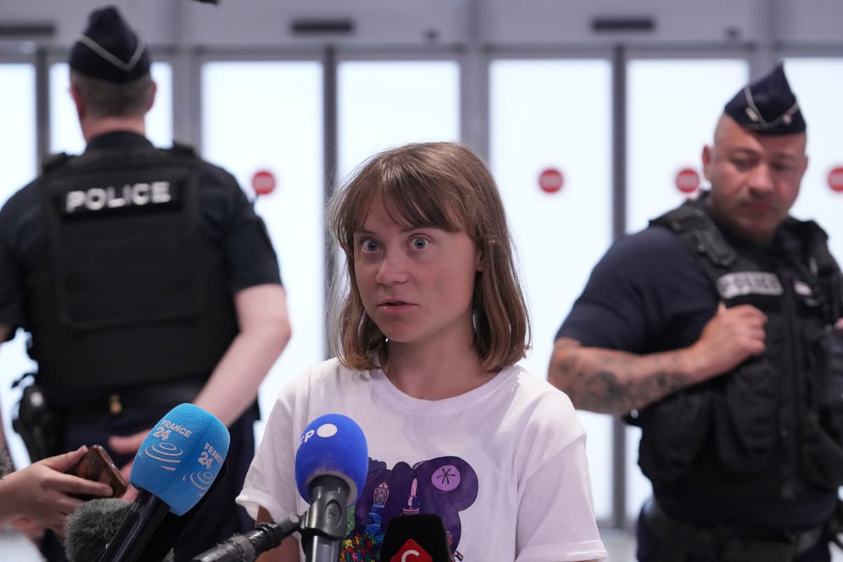 Greta Thunberg Expresses Concern for Detained Activists in Paris