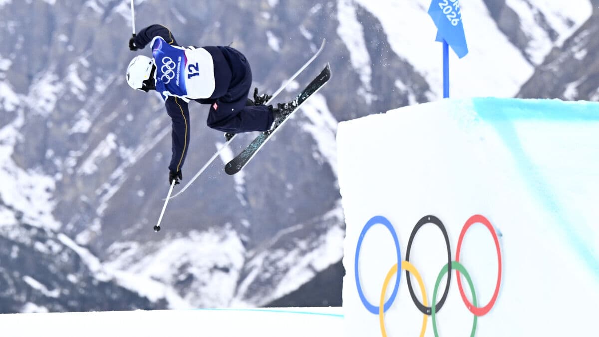 The colors stopped Capercaillie, can't be sure