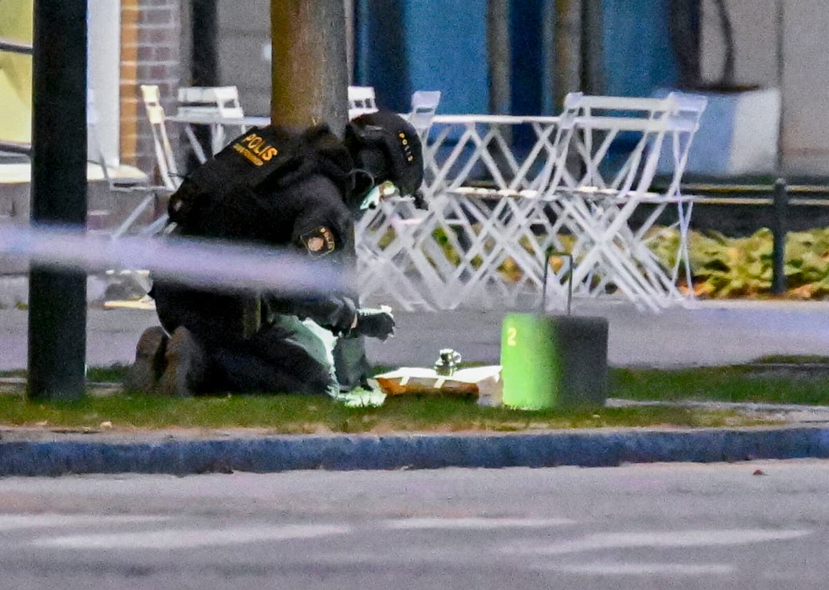 Police Disarm Over Ten Hand Grenades Found in Malmö Backpack