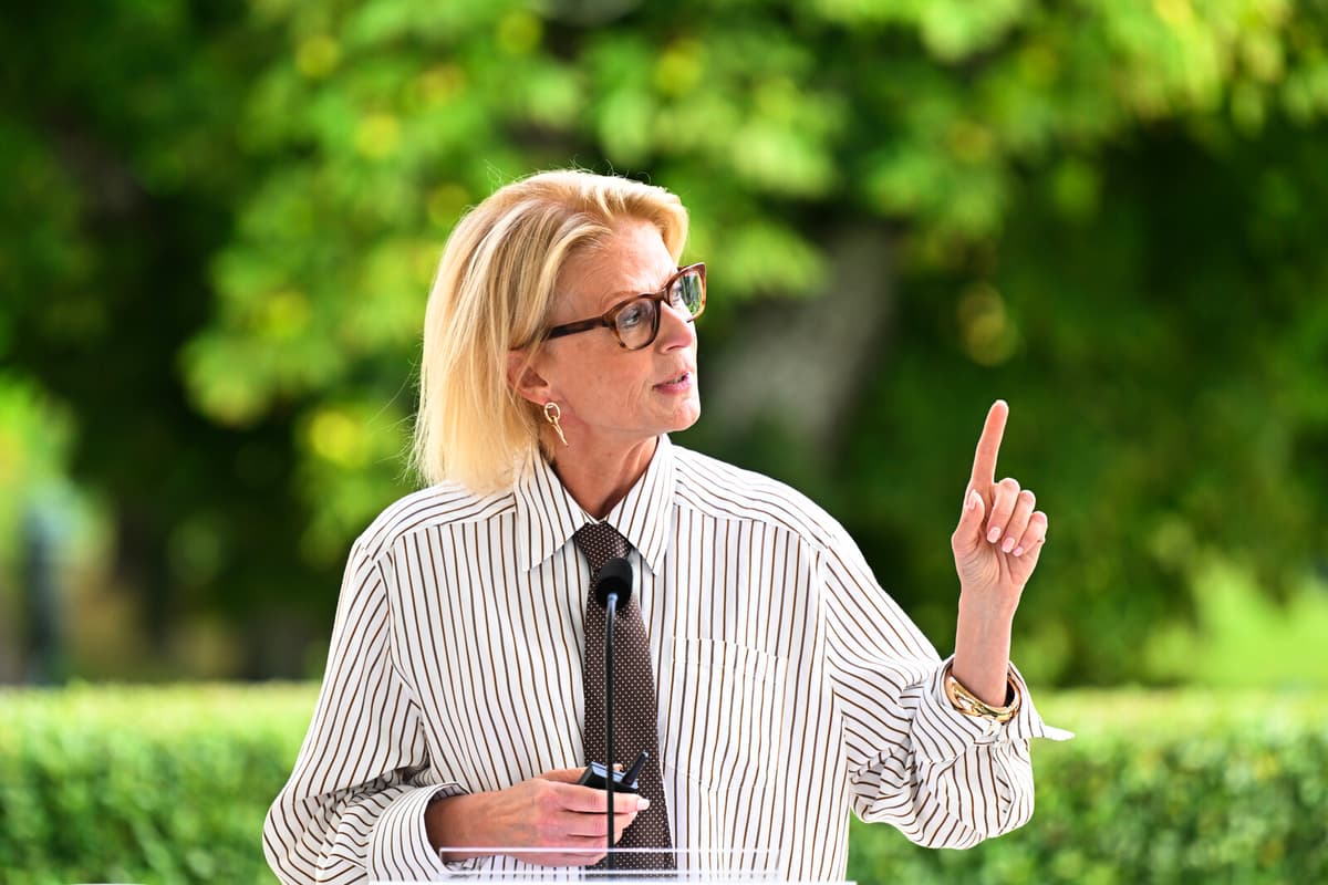 Svantesson Announces 80 Billion Kronor Budget Initiatives for 2026