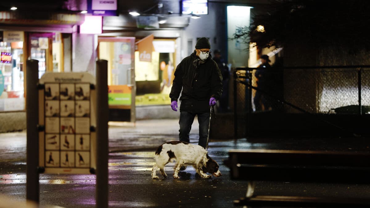 Life for murder and shootout with police