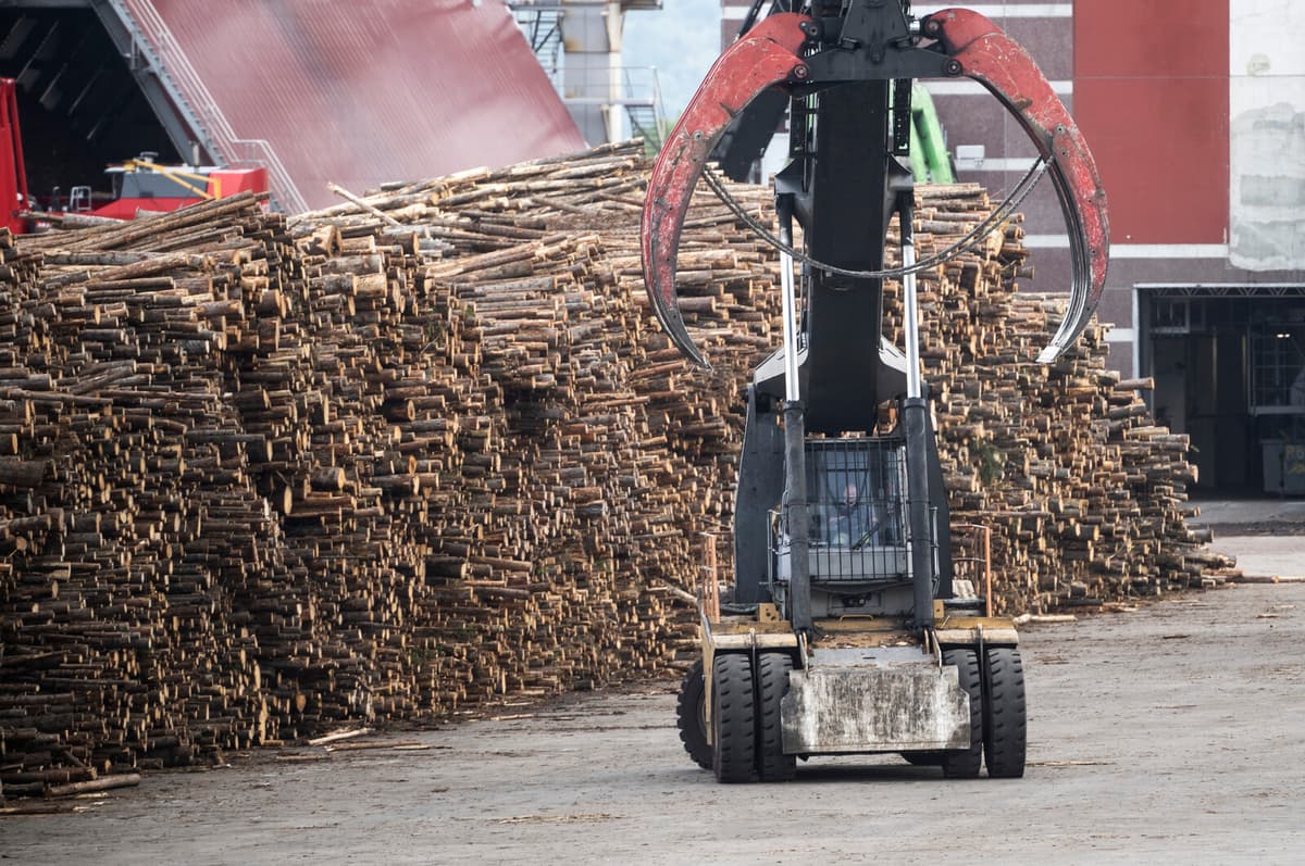 SCA Reports Profit Growth Amid Uncertain Market Conditions