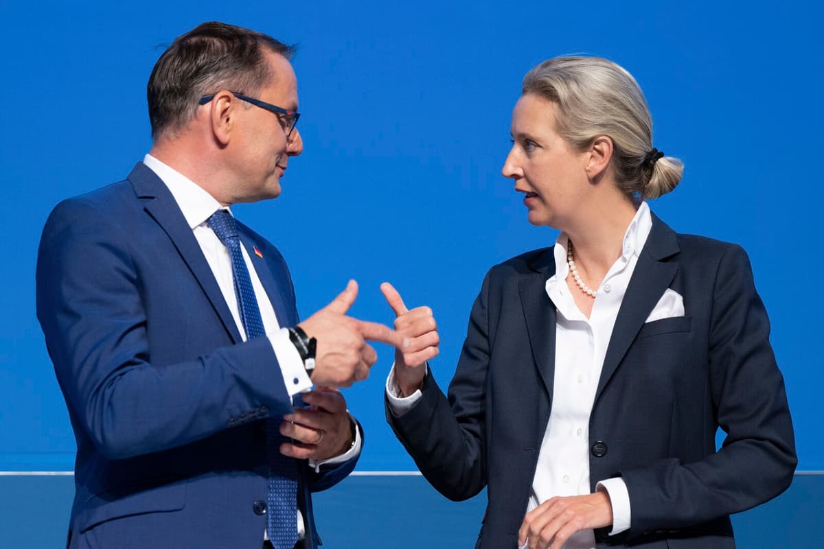 German Security Service Labels AFD as Far-Right Extremist