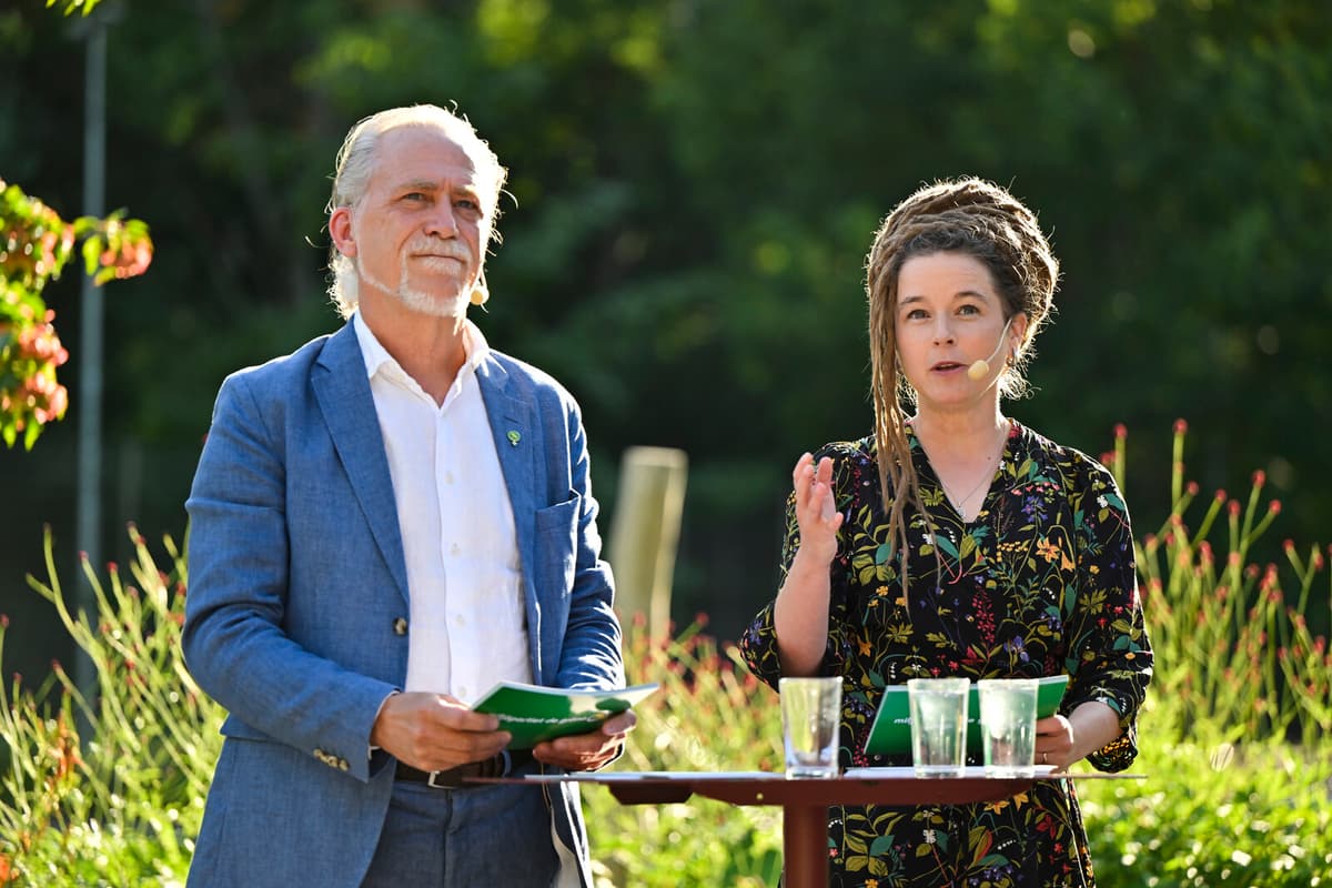 Green Party Proposes New Railway Authority in Sweden