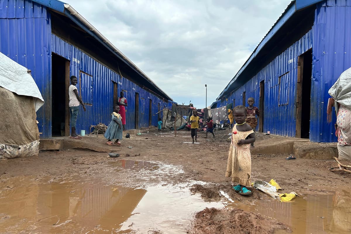 Sudan Conflict: International Call for Ceasefire to Prevent Famine