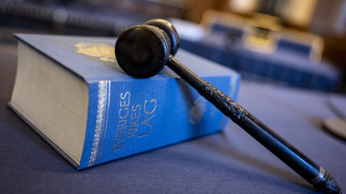 Human rights are forgotten when new laws are made