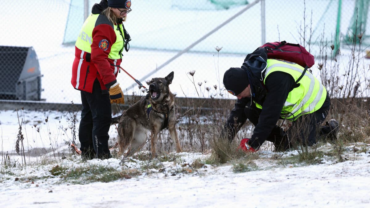 Major search effort for missing woman in Salem, southwest of Stockholm