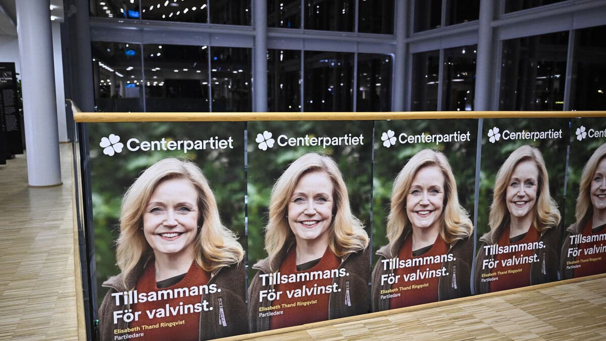 New C-leader: Time to say yes to the euro