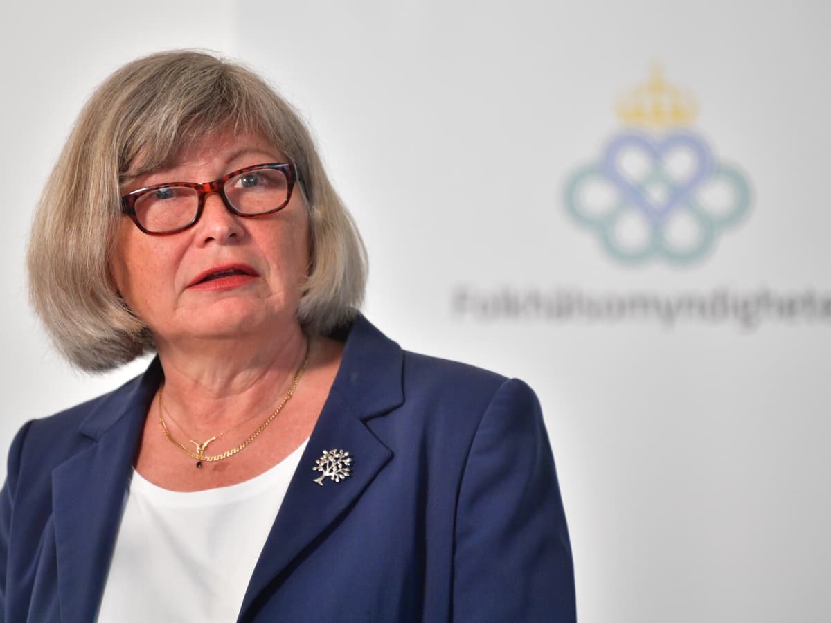 Lena Nyberg Takes Helm of Sami Truth Commission