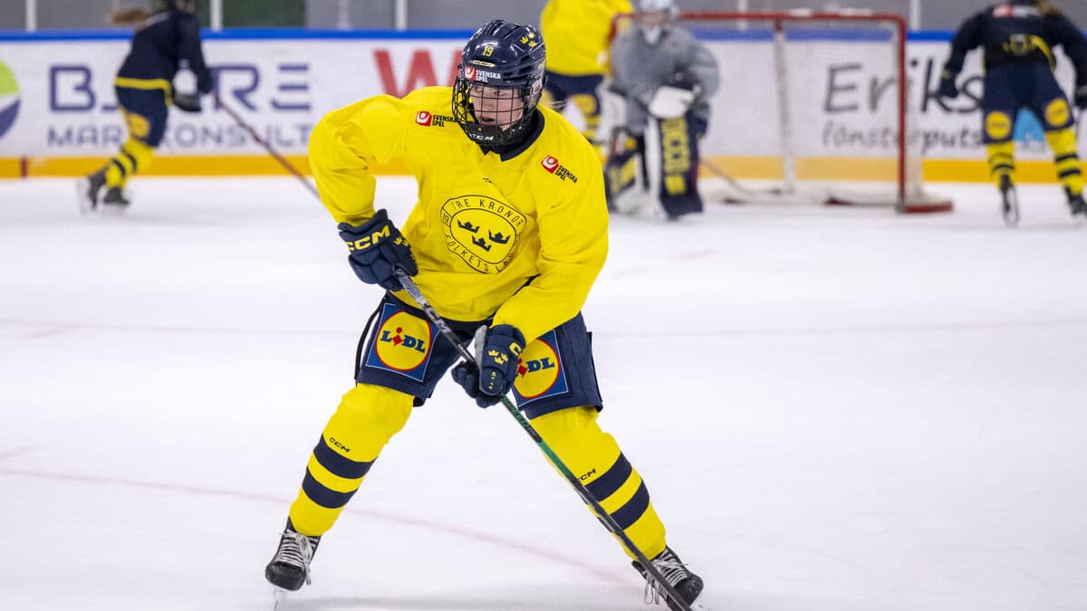 Best in Sweden – auditions for professional contracts