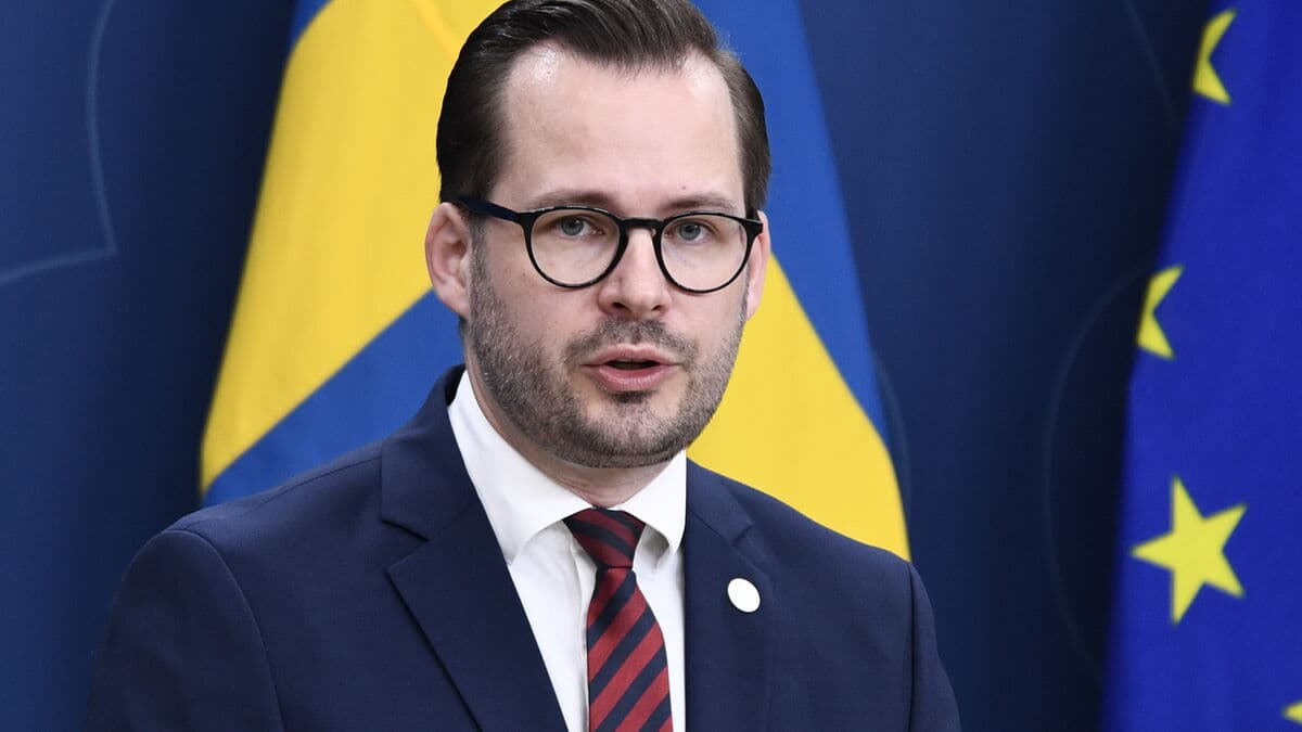 SD wants to limit the law on incitement against ethnic groups