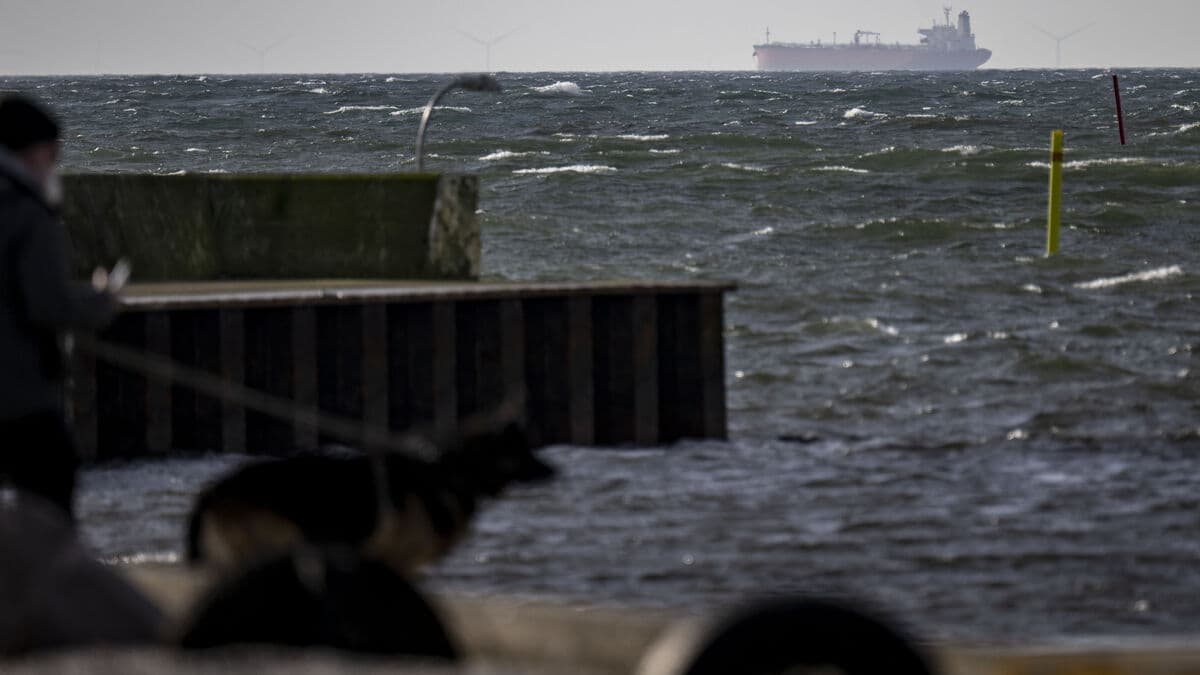 Boarded ship Sea Owl I banned from use and may not travel further