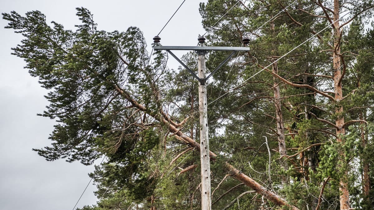 Storm easing in Finland, but tens of thousands still without power