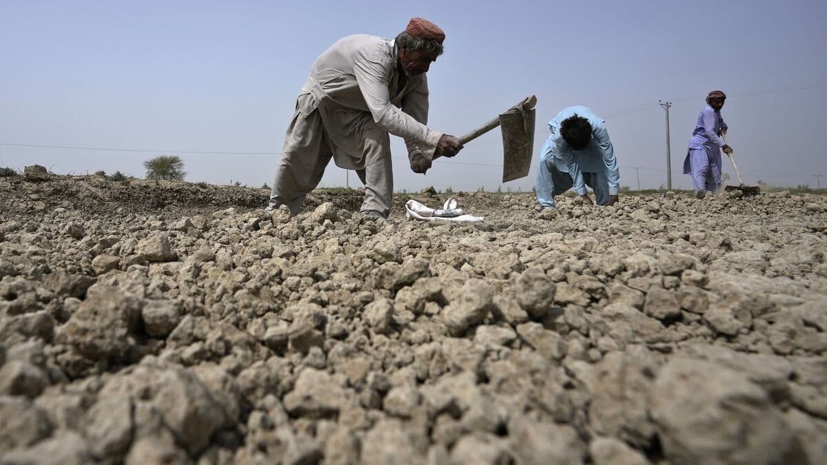 Over 200 dead in violence in Pakistan's Balochistan