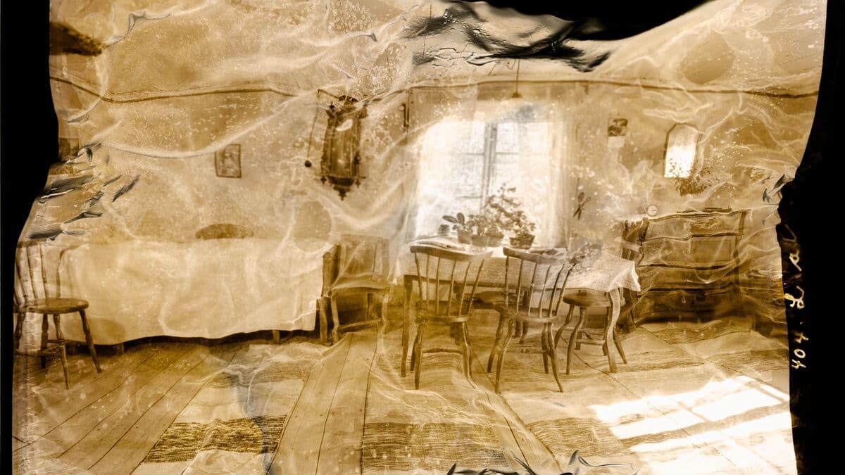 Sågar Nordiska: "Make art out of your own neglect"