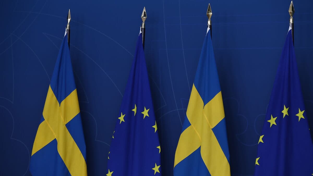 Suspected fraud of more than SEK 700 billion against the EU is being investigated