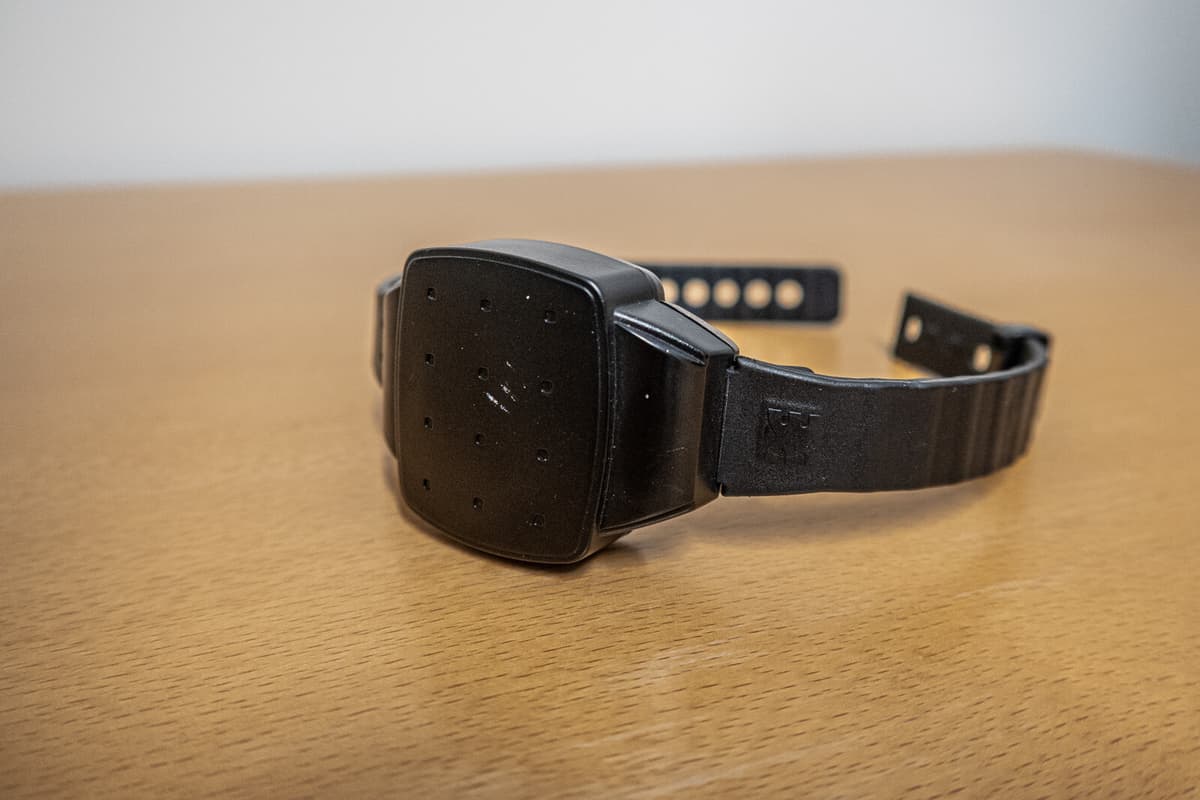 Concern about the proposal for electronic ankle tags for children