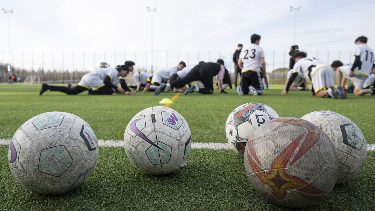 Nordic Countries Collaborate to Replace Rubber Granules on Football Pitches
