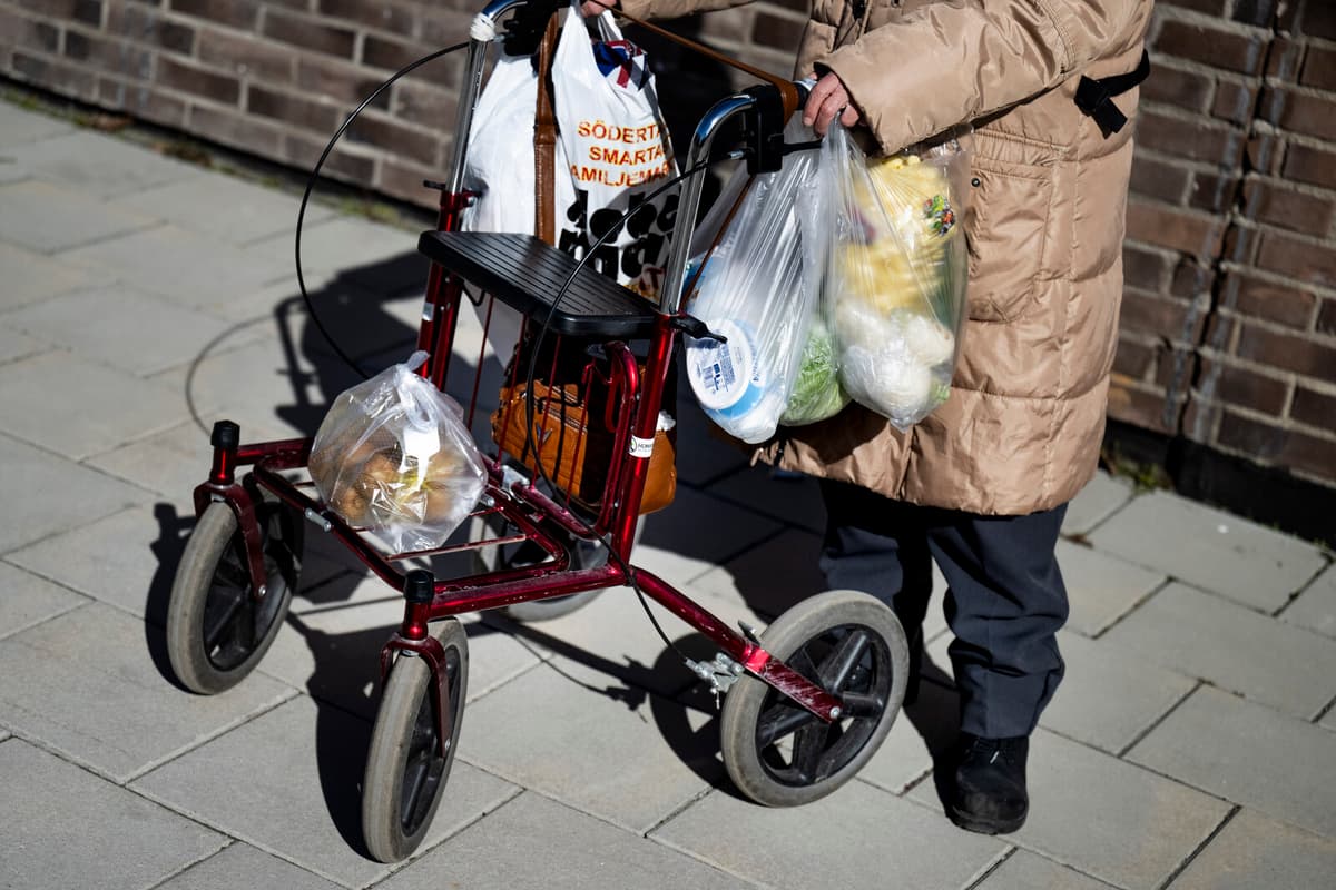 Pension System Basic Protection Under Review for Improvement