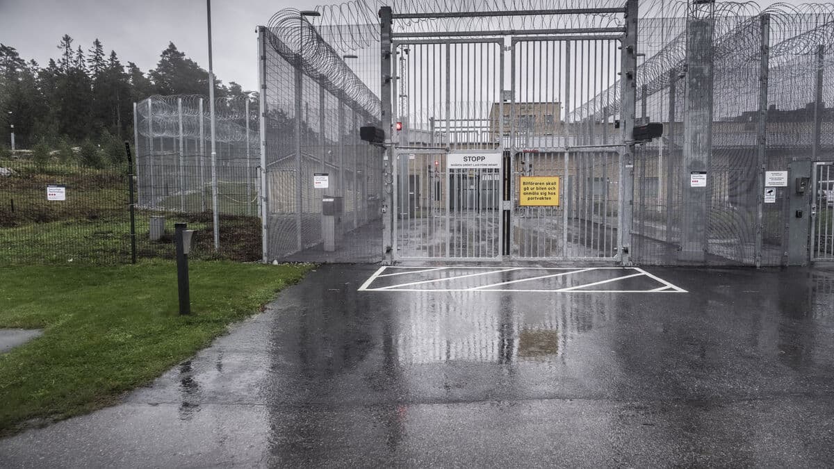 Threats and violence are decreasing in SiS homes