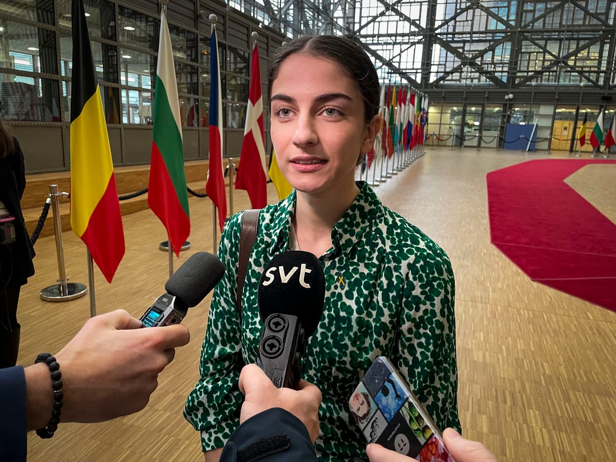 Nordic Nations Unite to Tackle Unsafe Products from Temu and Shein