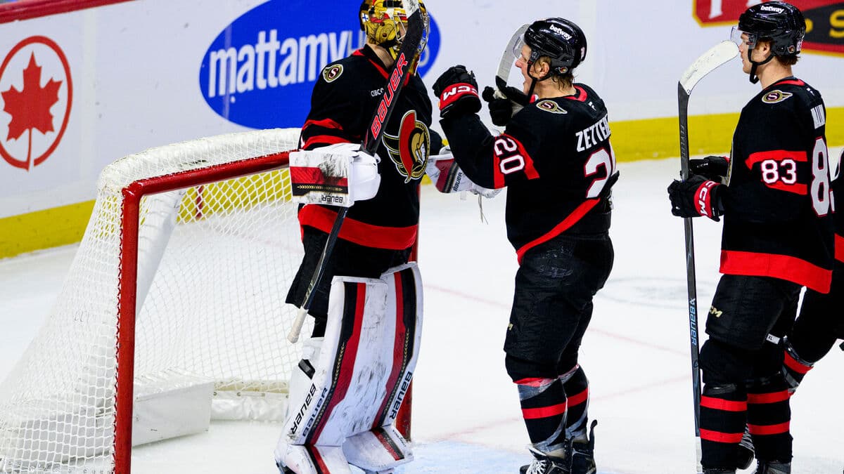Swedish match hero Fabian Zetterlund scores late winner as Ottawa beats Washington 4-3