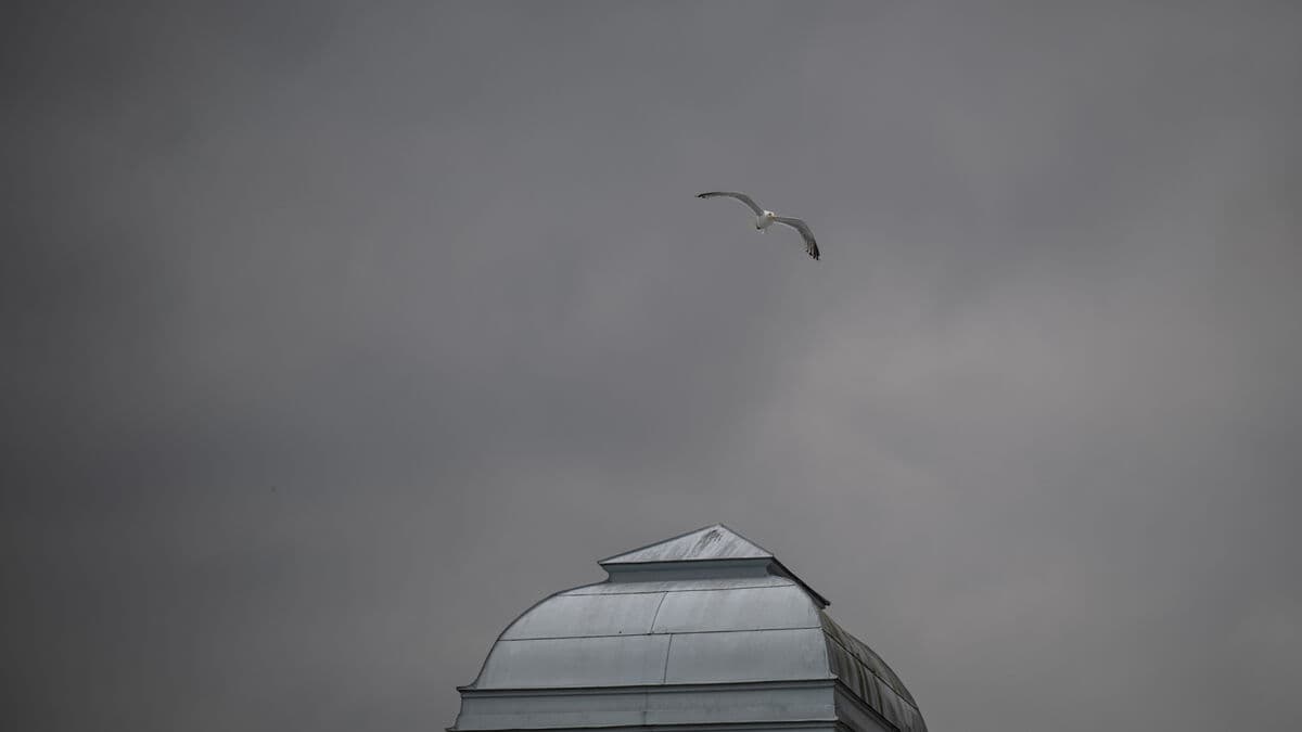 Don't fall into the light trap – this is how you can handle the darkness