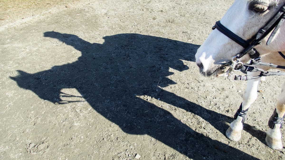 New wave of saddle thefts – police warn