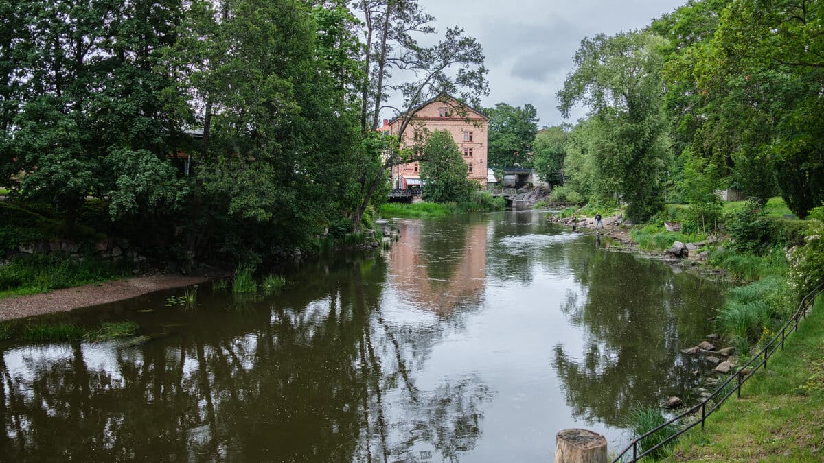 Sweden's new environmental plan met with criticism from environmental organizations