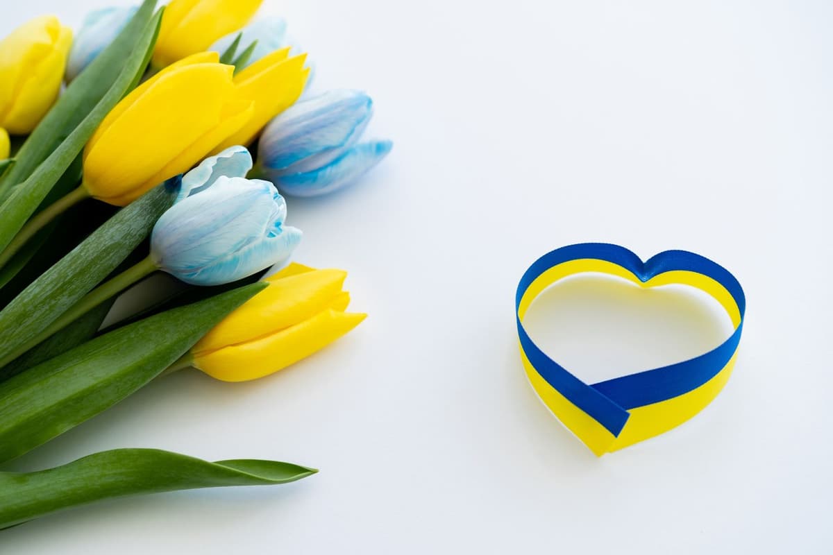 What Swedish women wish for on Valentine's Day.