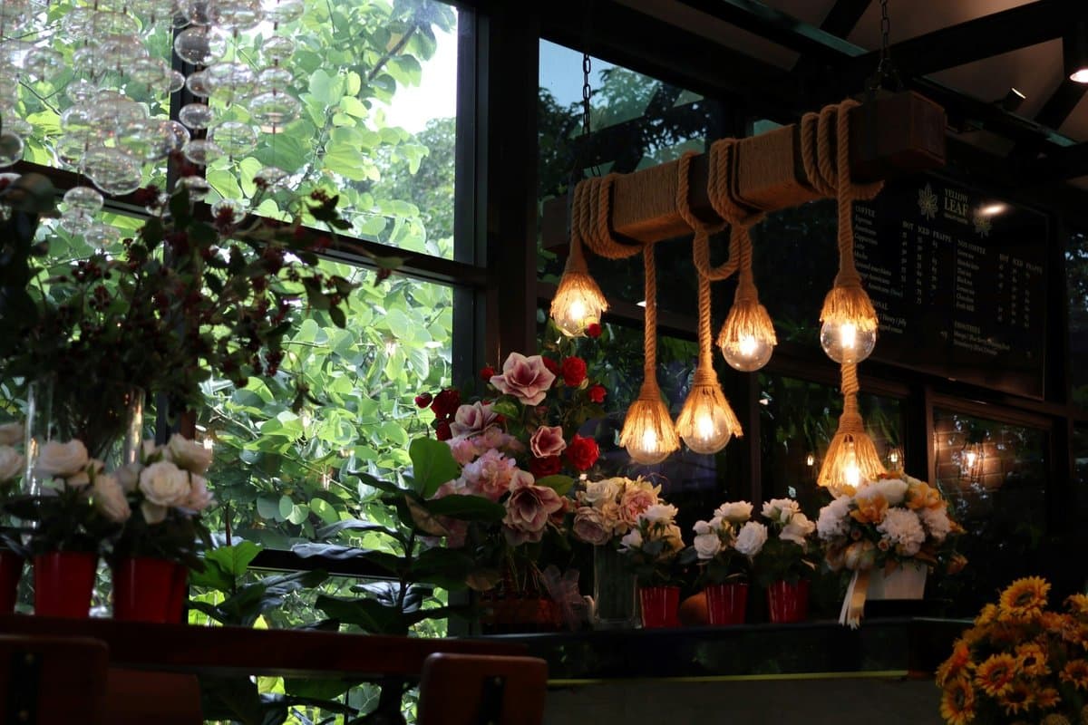 Kan du skicka länken till mig?