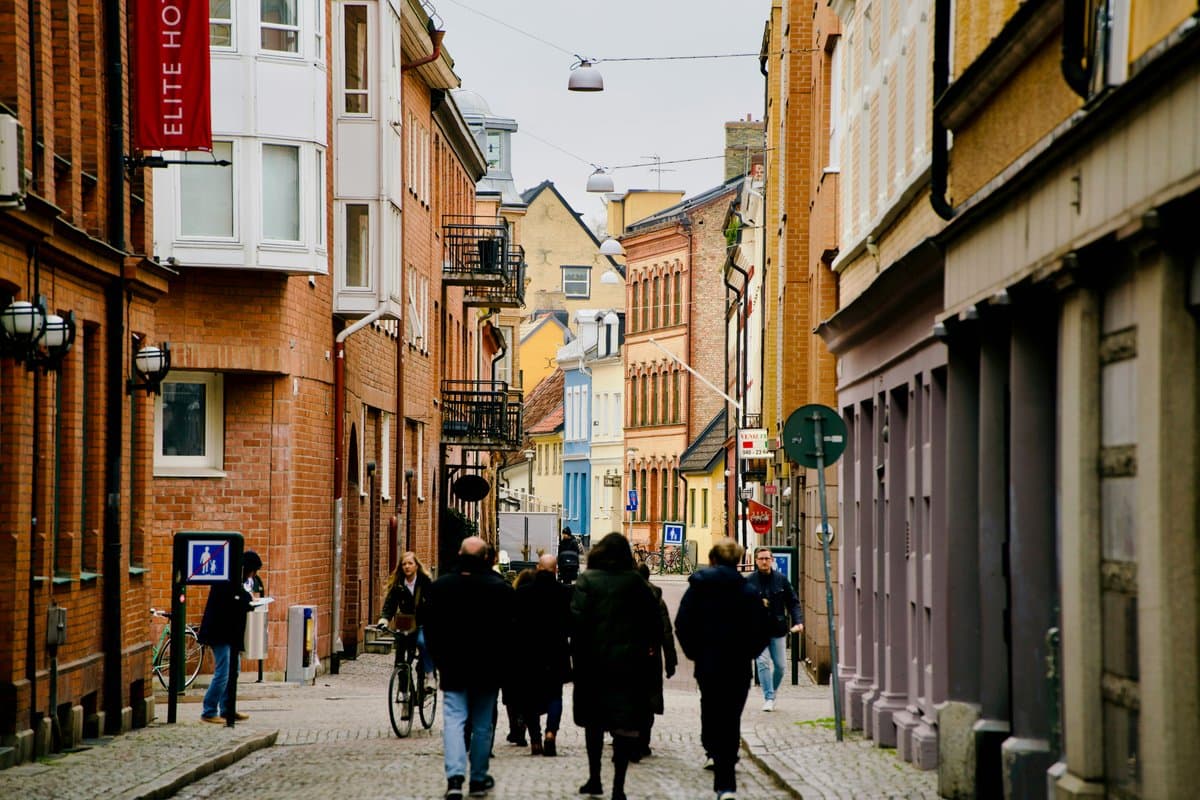 I dag plundrar vi julgranen.