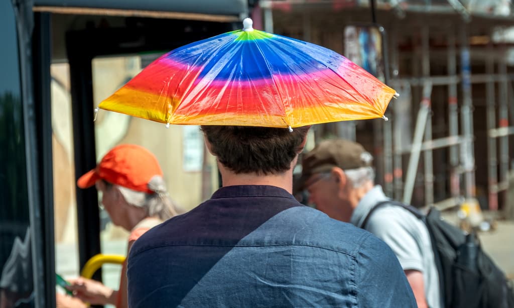 Hazardous Ozone Levels in the Wake of the Heatwave