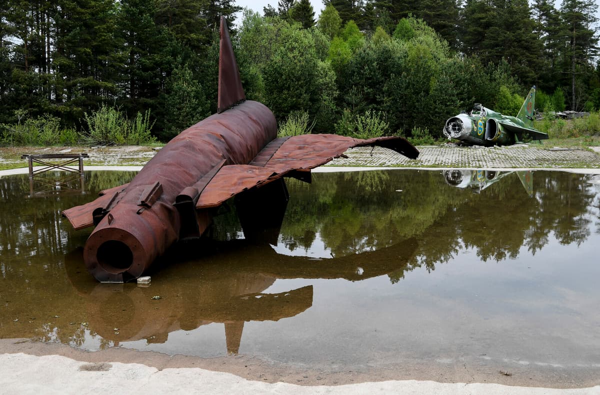 New plant method tested against PFAS