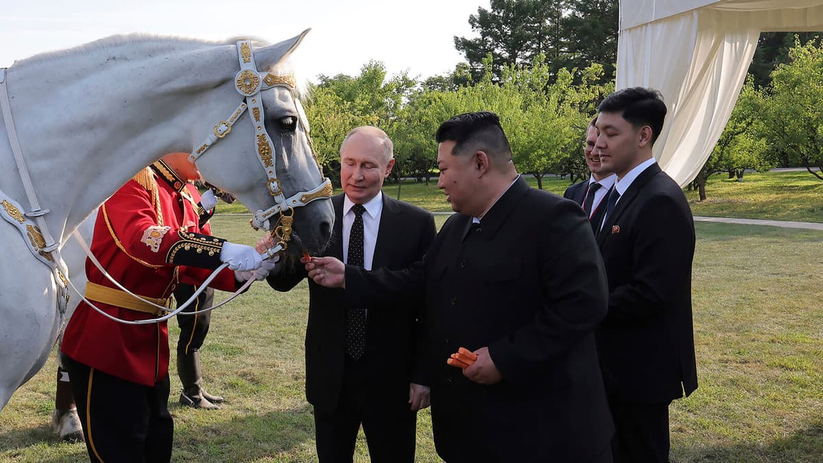 Parts in North Korean robot suggest sanctions violation