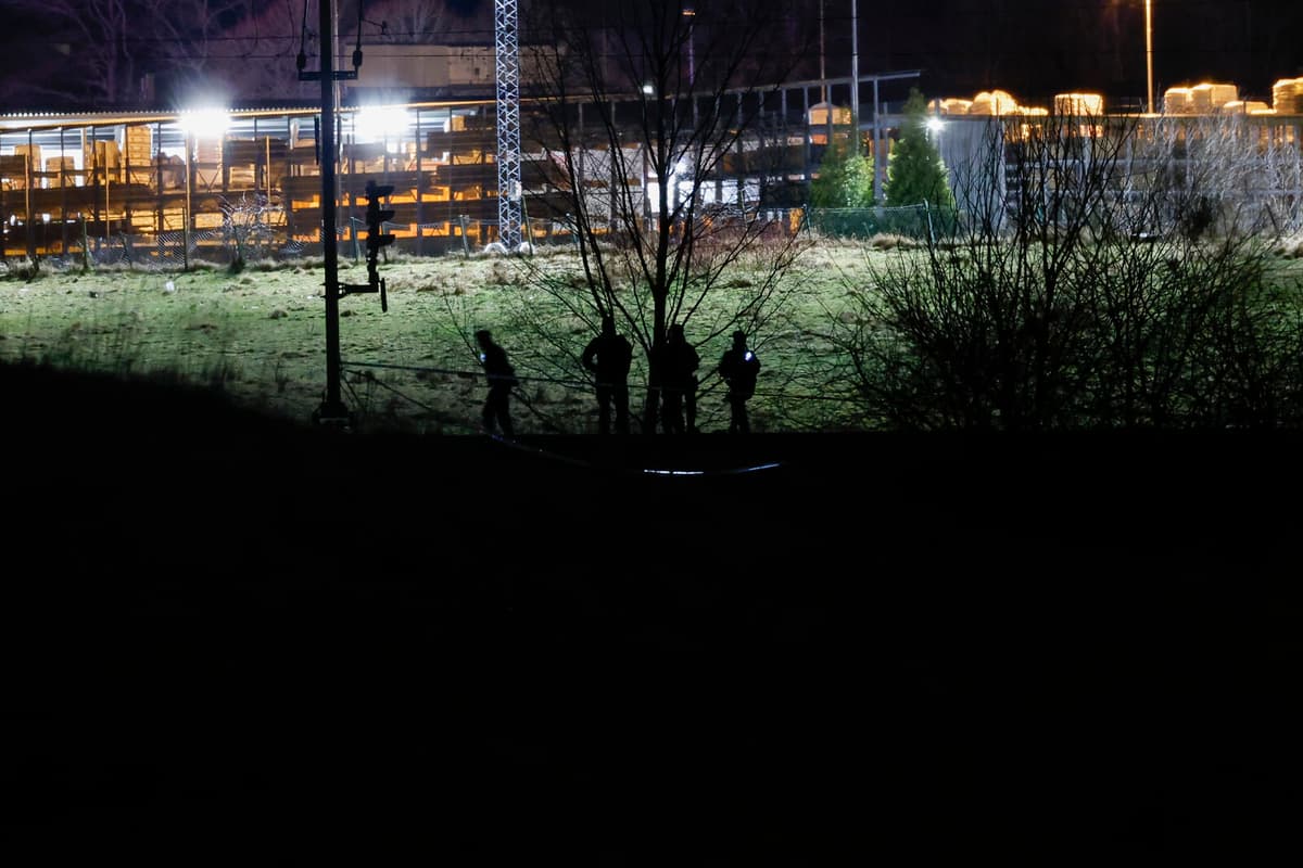 18-year-old murder suspect has serious mental disorder